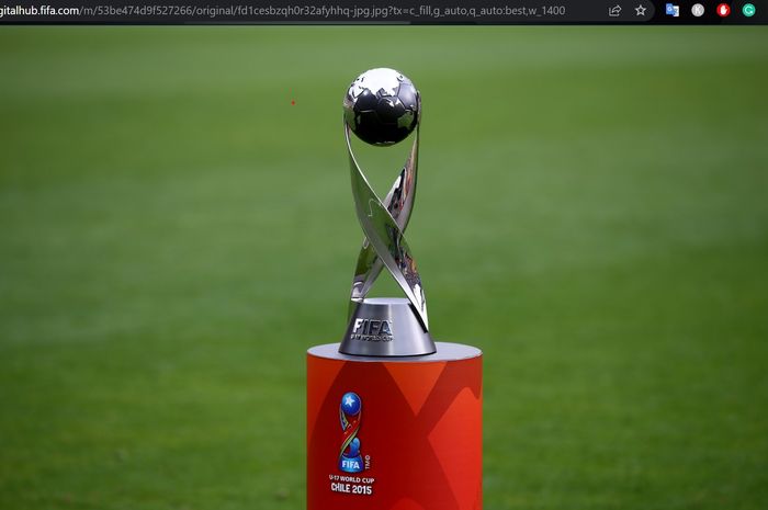 Rekomendasi Situs Resmi Piala Dunia di Indonesia pada 2024